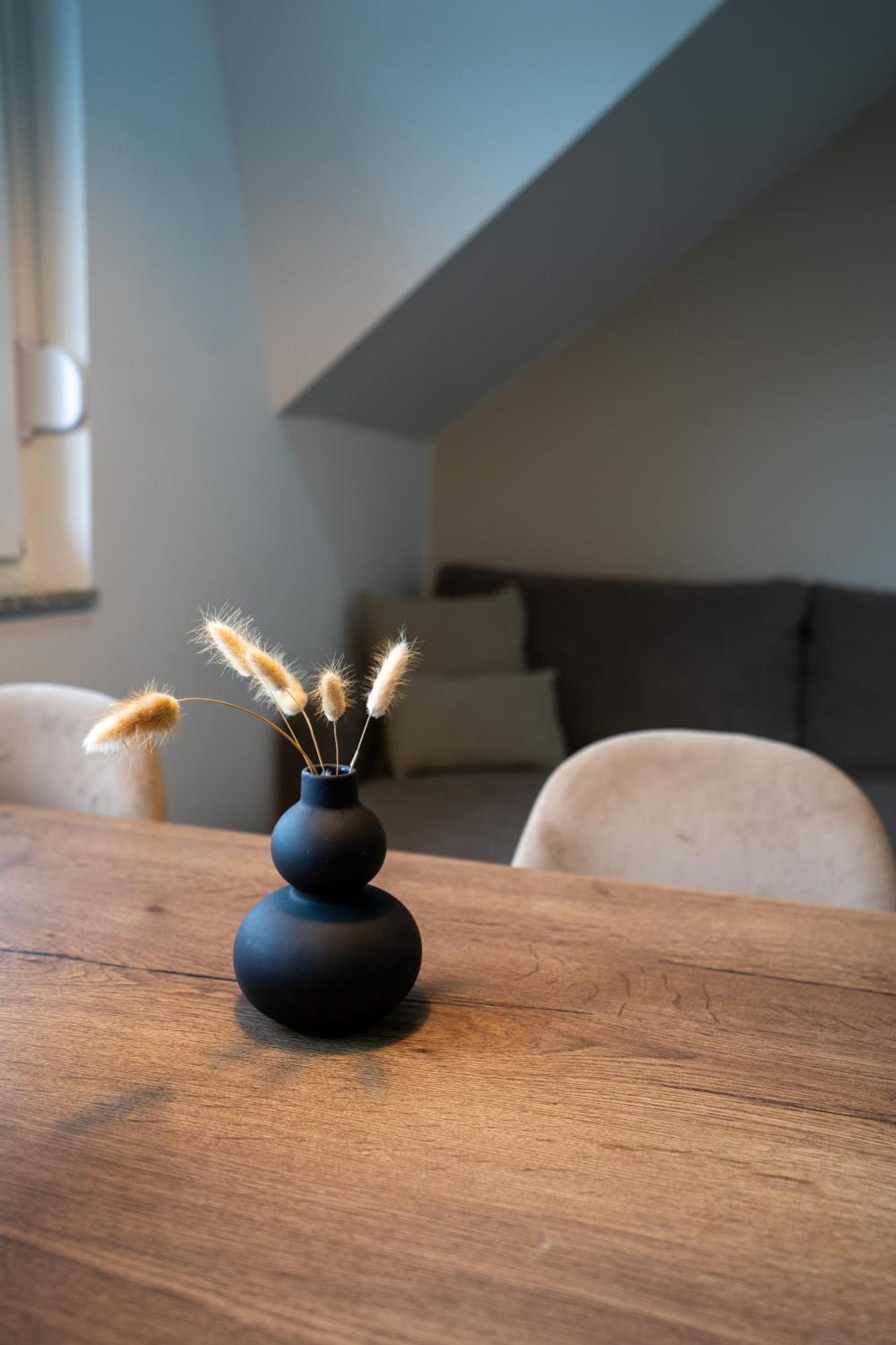 Apartments & Room Forest スルニュ エクステリア 写真